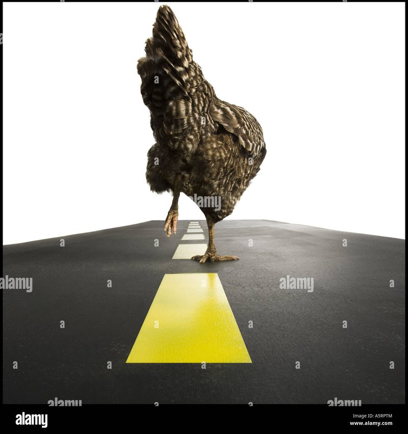 Chicken road à France